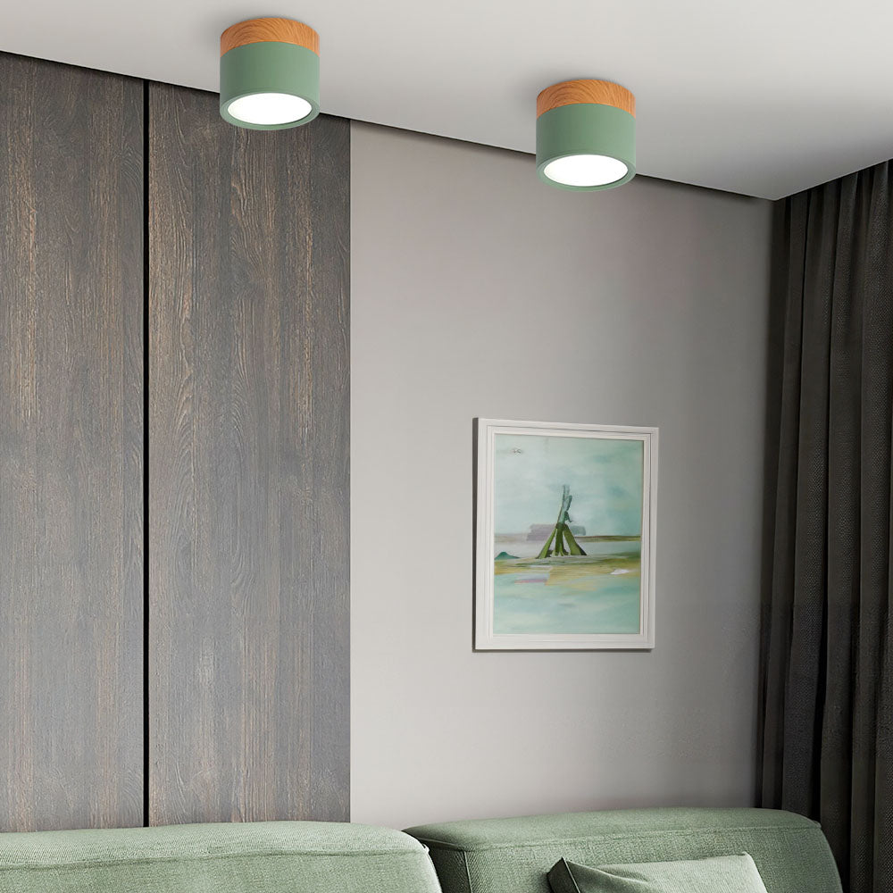 Small Cylinder Flush Mount Ceiling Light
