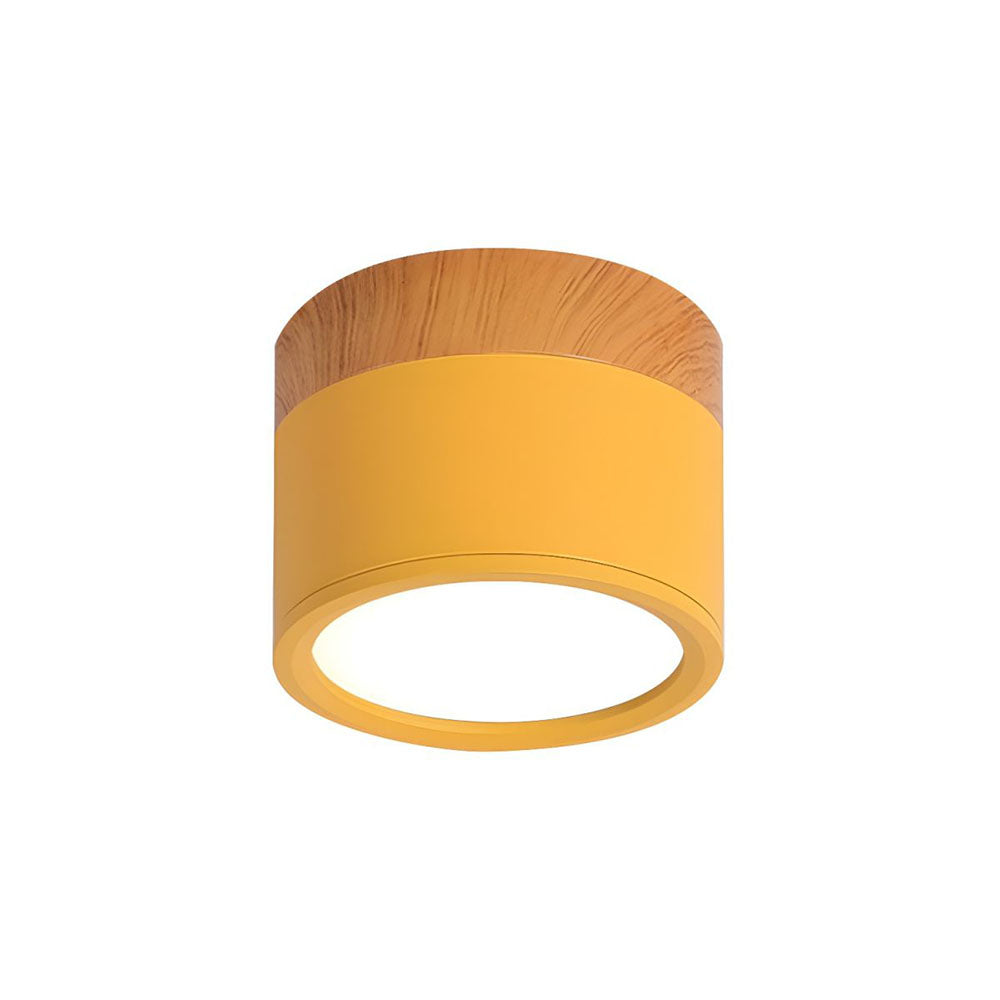 Small Cylinder Flush Mount Ceiling Light