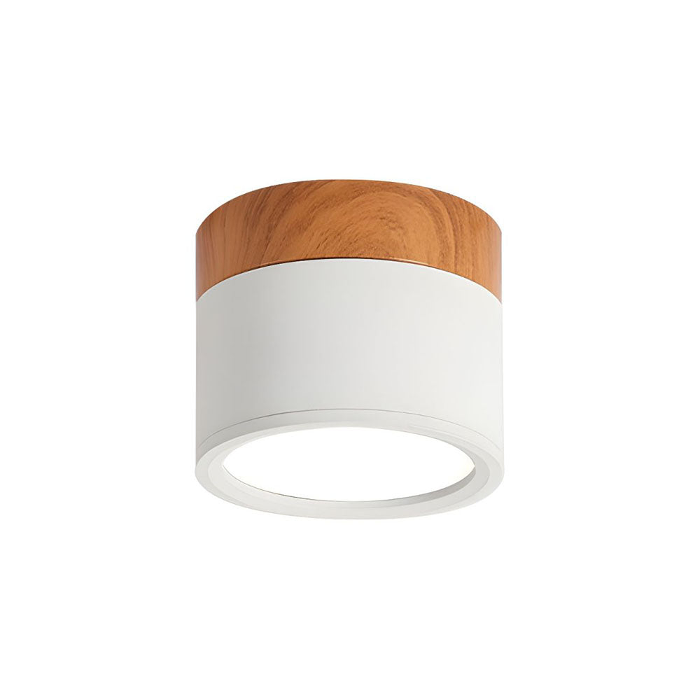 Small Cylinder Flush Mount Ceiling Light