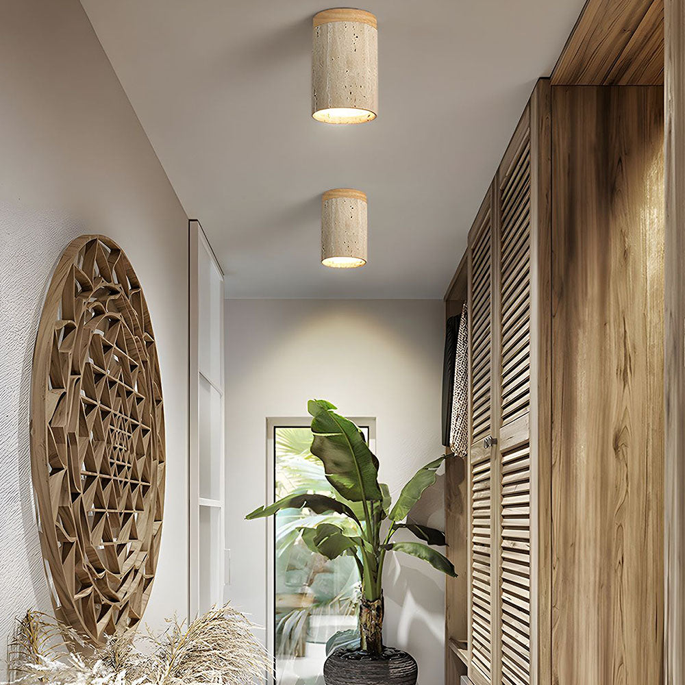 Modern Round Ceiling Light – Flush Mount LED Fixture