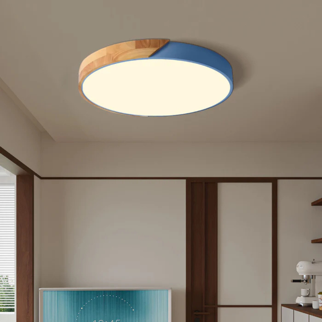 Modern Scandinavian Flush Mount Lamp