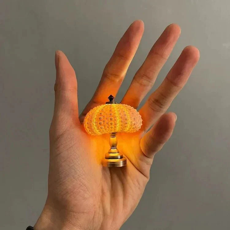 Sea Urchin Night Light