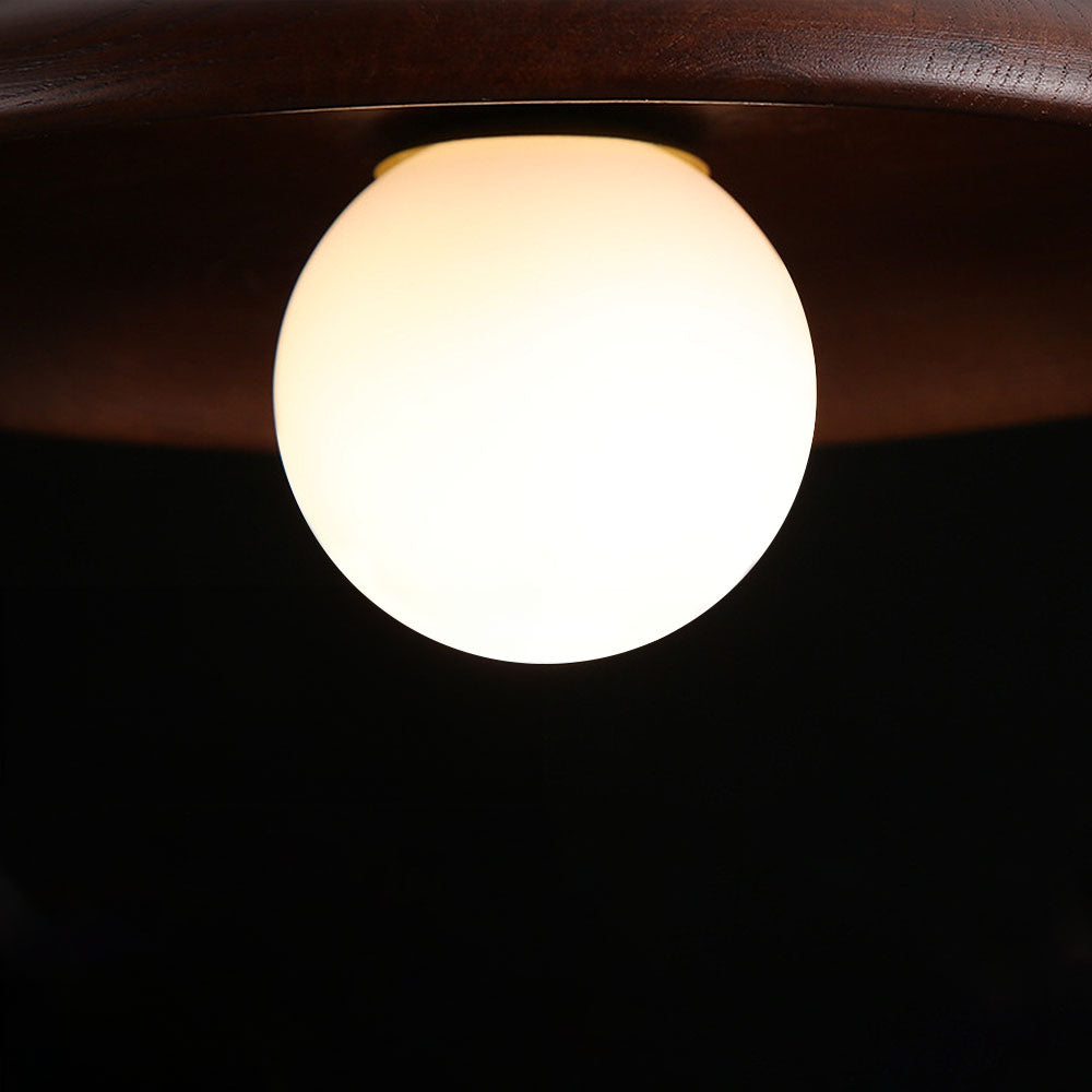 Circular Flush Mount Ceiling Light – Integrated LED Home Luminaire