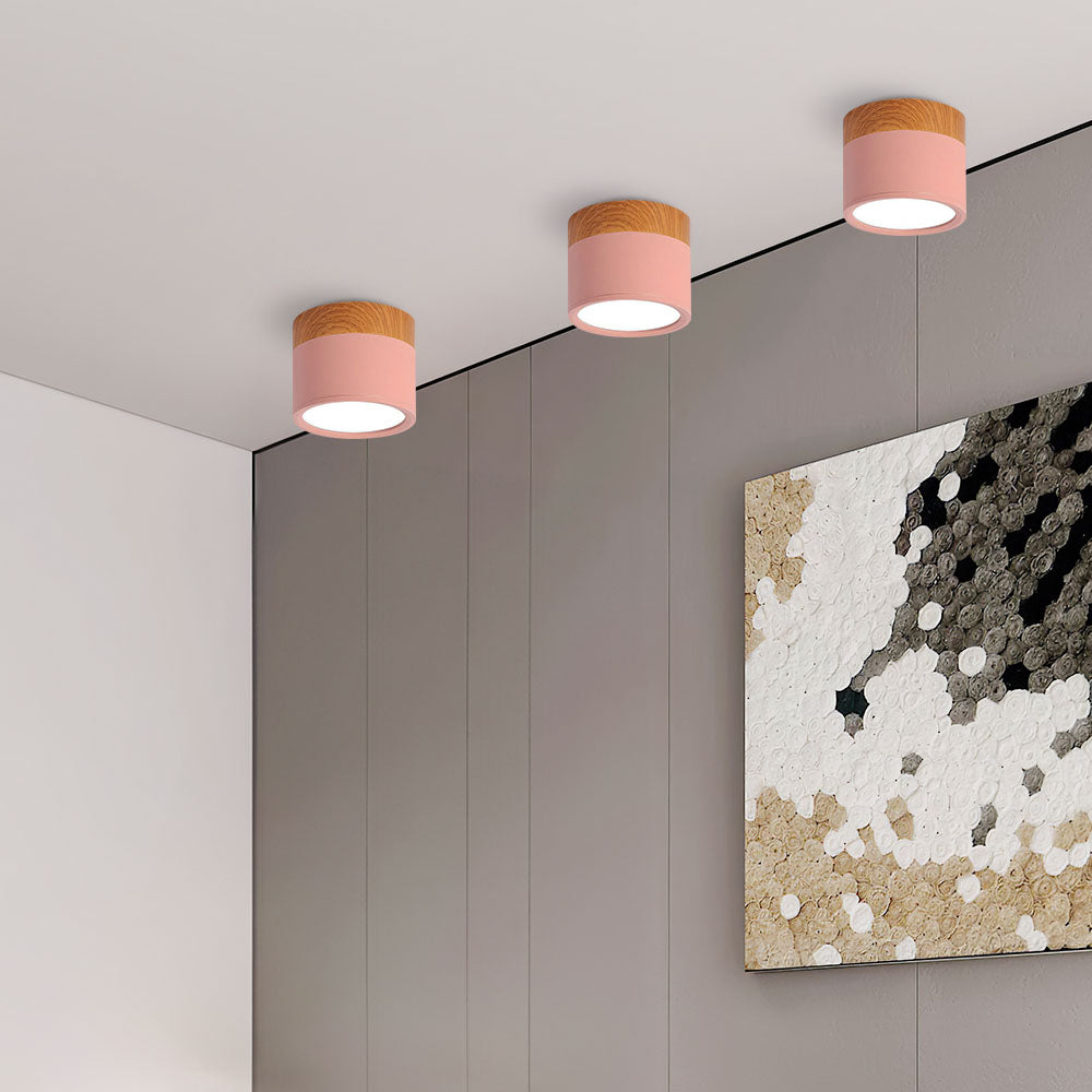 Small Cylinder Flush Mount Ceiling Light