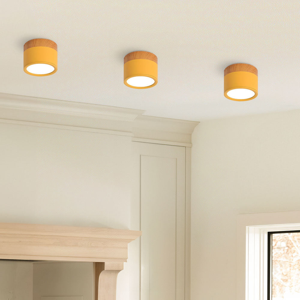 Small Cylinder Flush Mount Ceiling Light