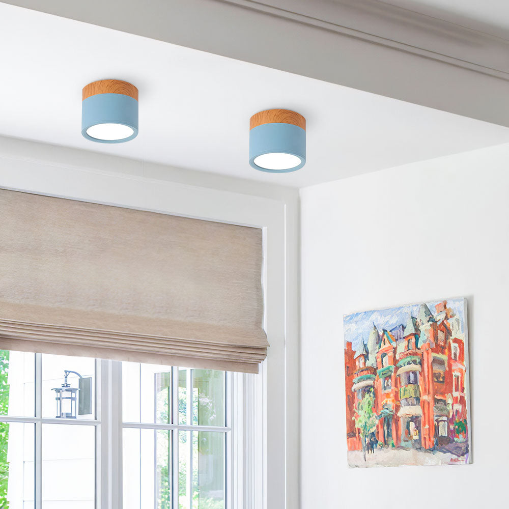 Small Cylinder Flush Mount Ceiling Light