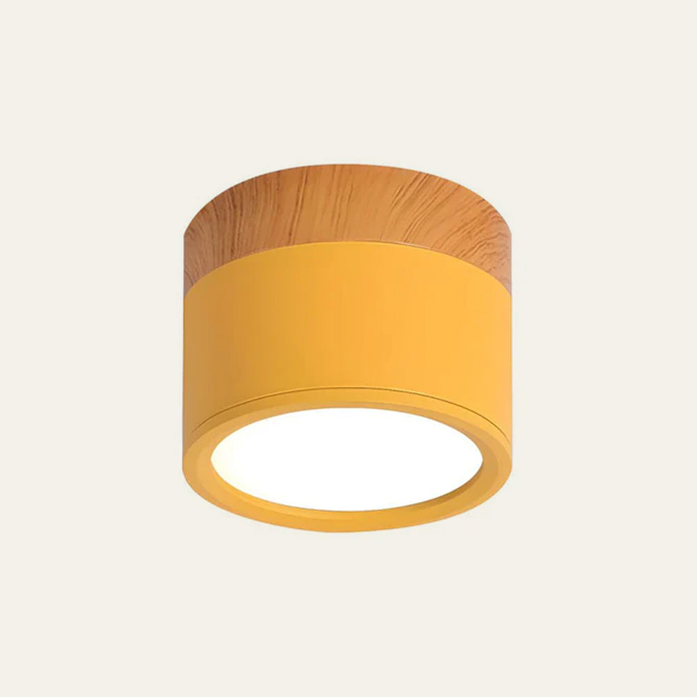 Small Cylinder Flush Mount Ceiling Light