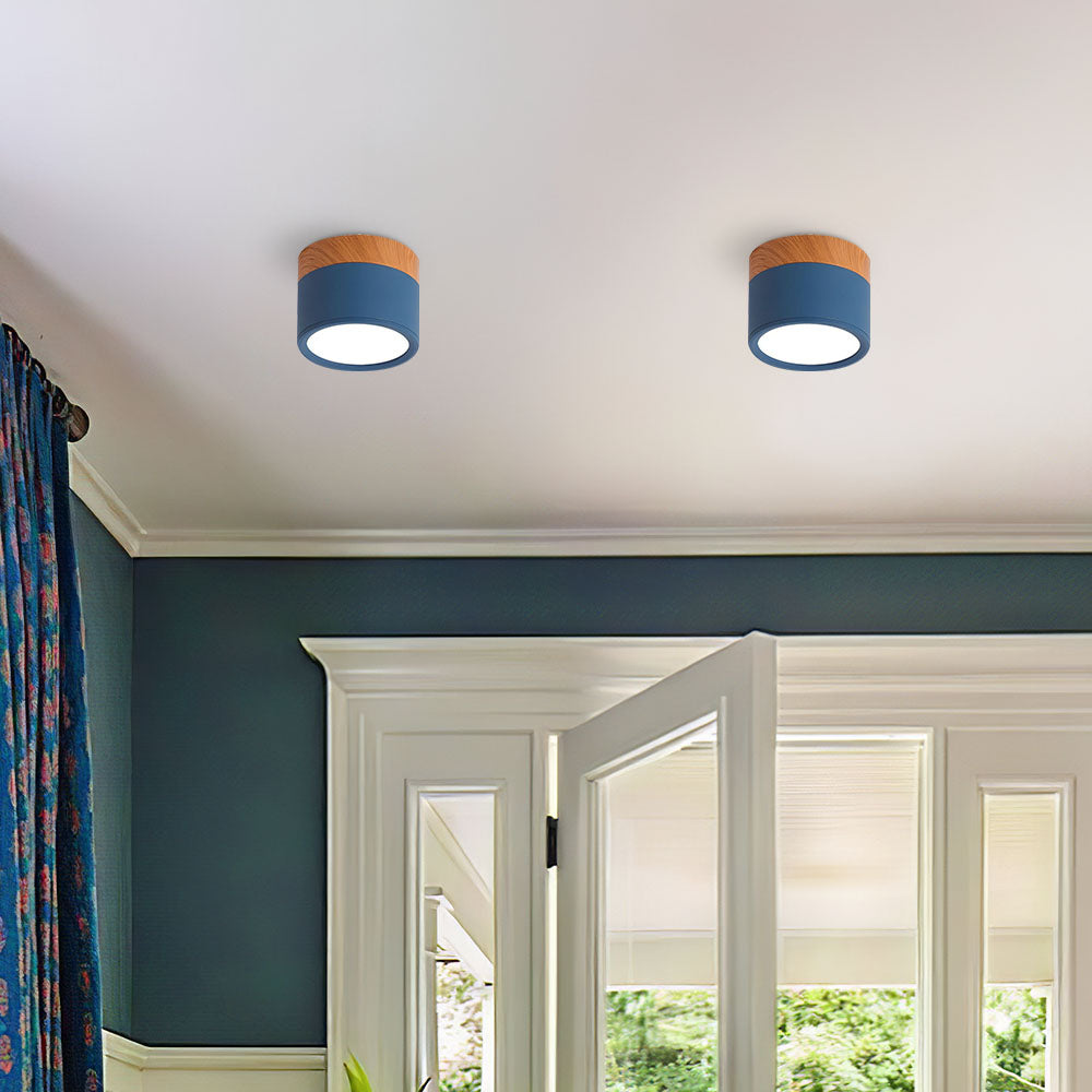 Small Cylinder Flush Mount Ceiling Light
