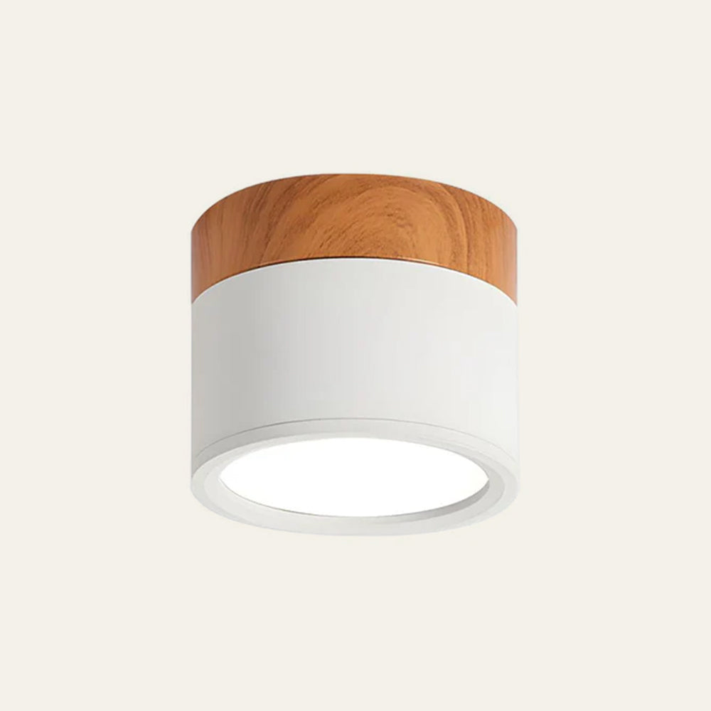 Small Cylinder Flush Mount Ceiling Light