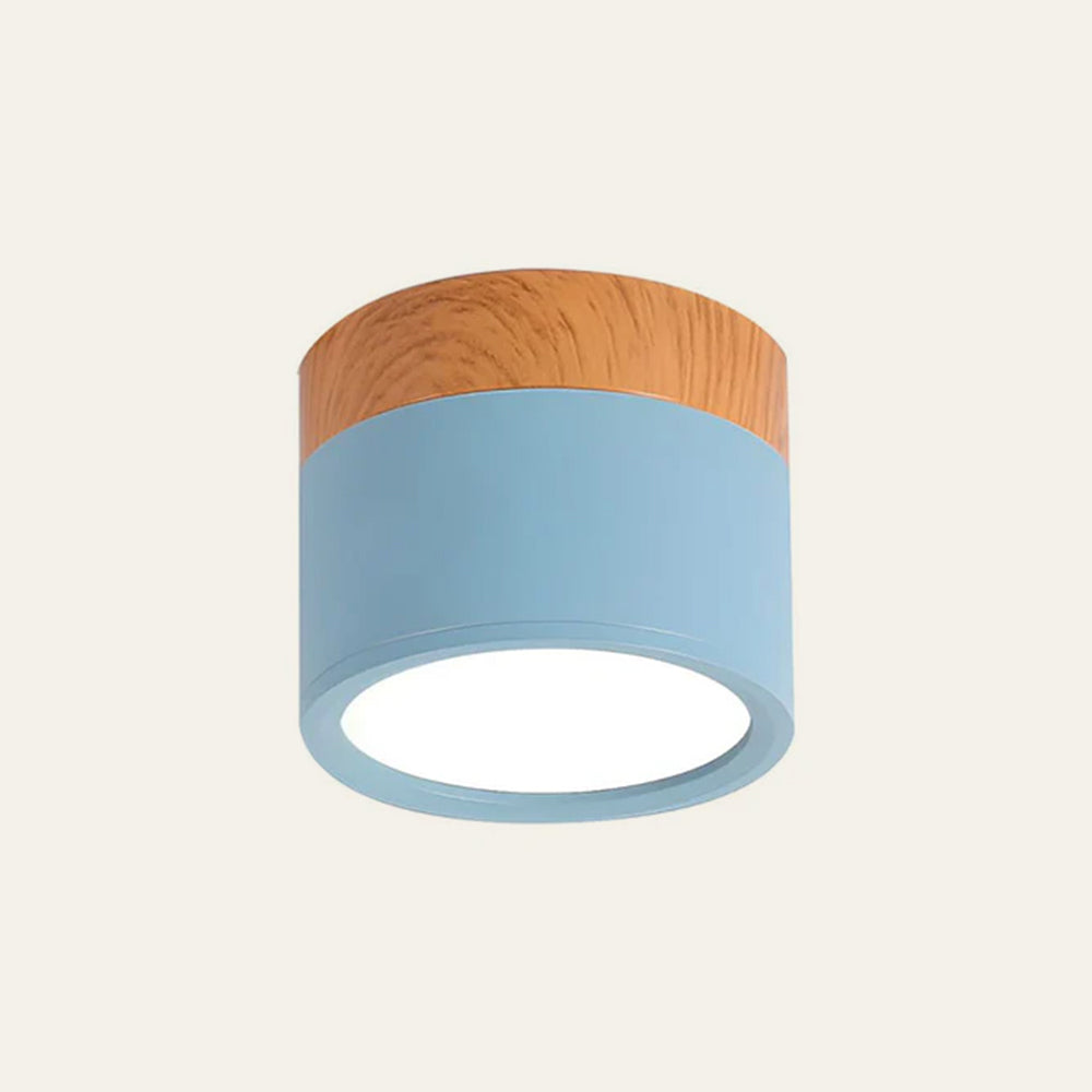 Small Cylinder Flush Mount Ceiling Light
