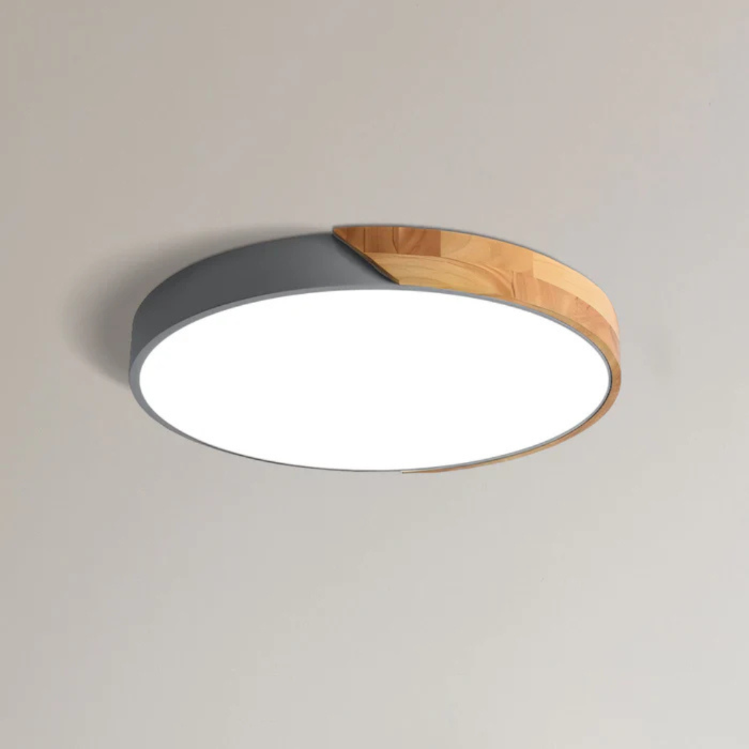 Modern Scandinavian Flush Mount Lamp