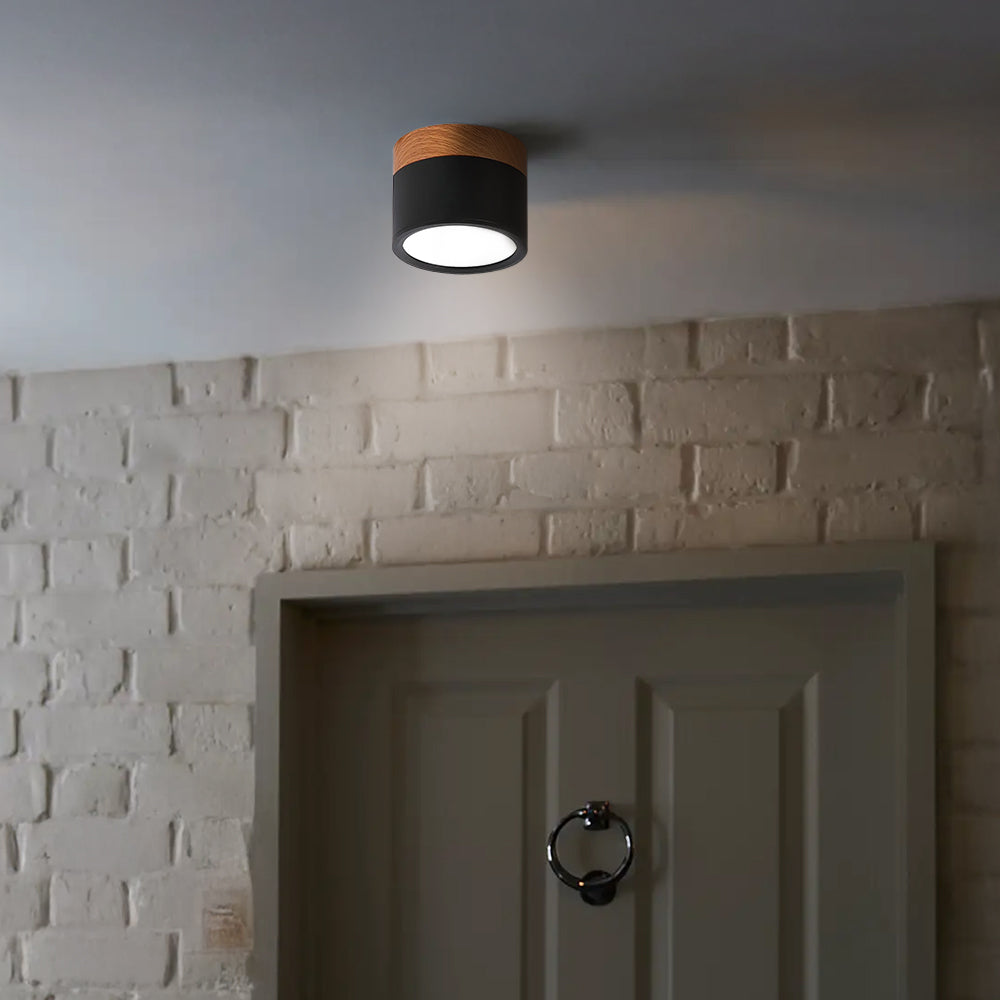 Small Cylinder Flush Mount Ceiling Light