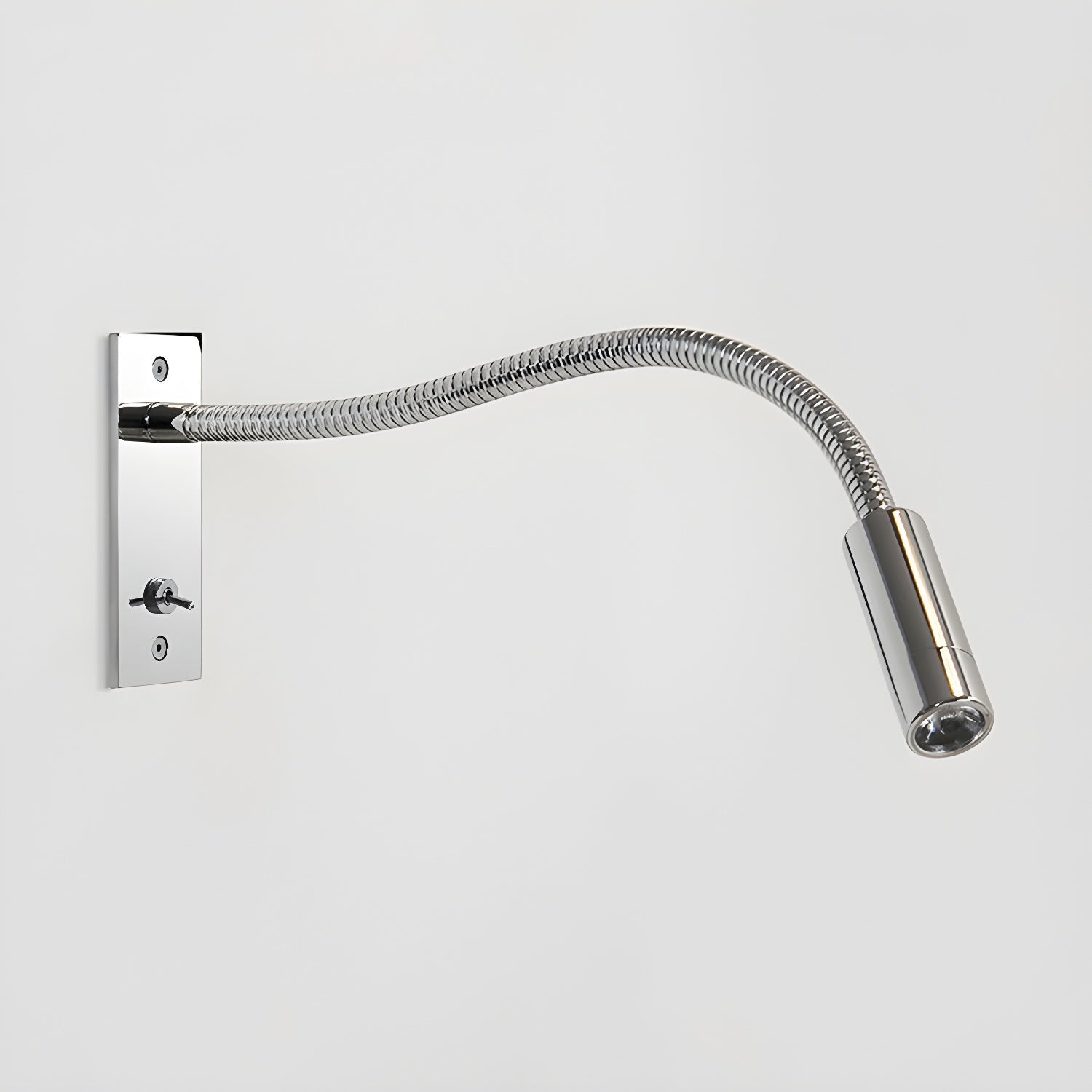 Flexible Gooseneck Wall Light
