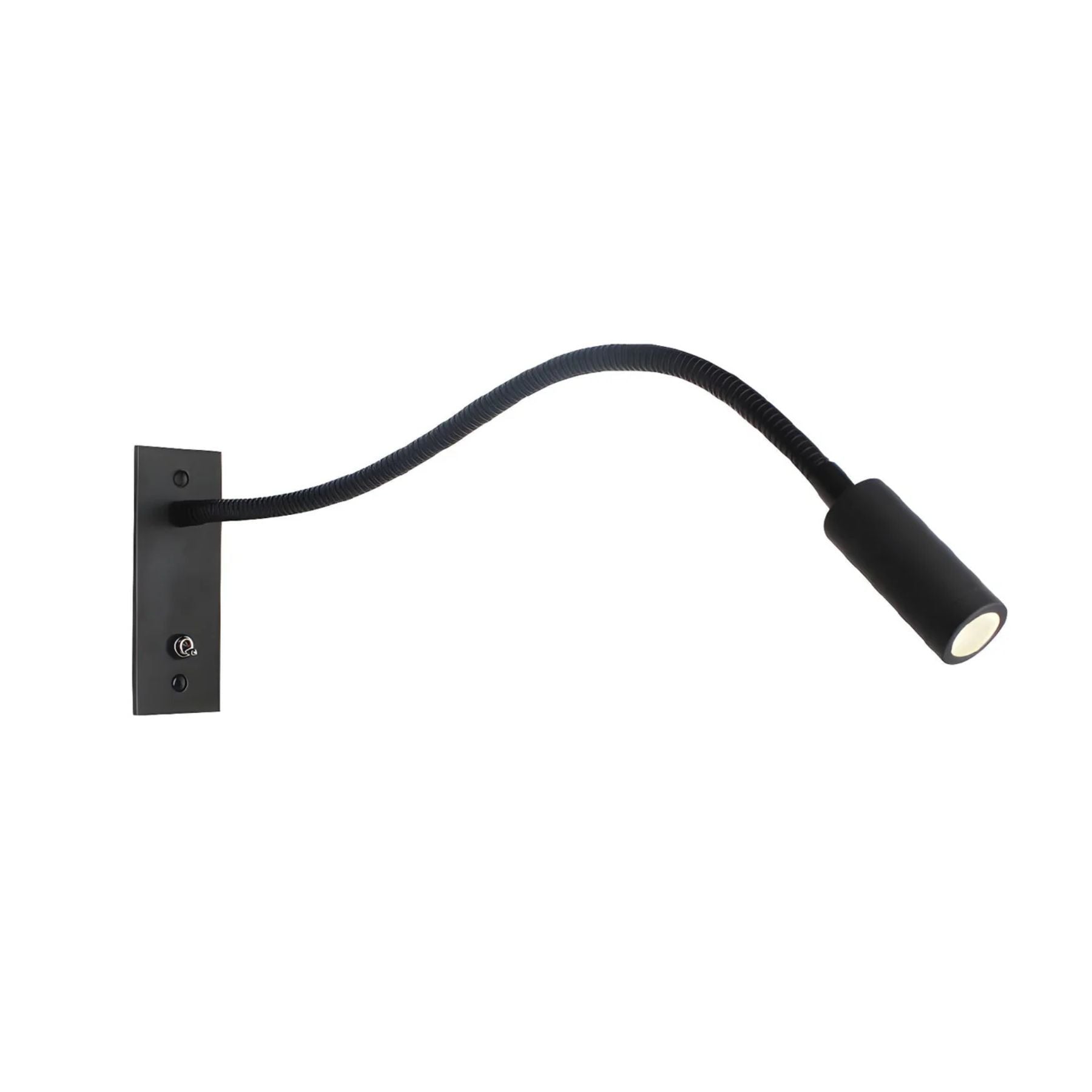 Flexible Gooseneck Wall Light