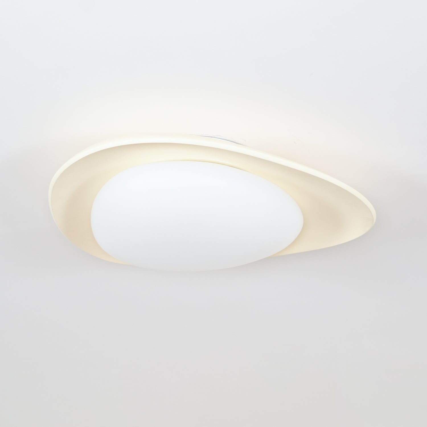 Leaf Ceiling Lamp