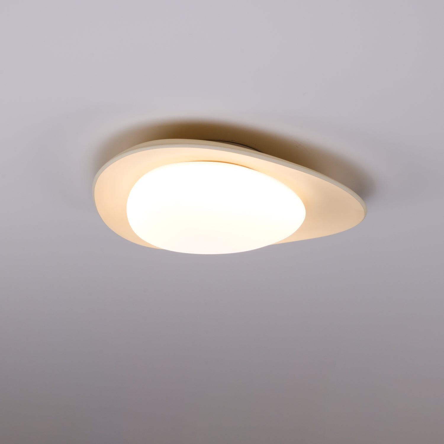 Leaf Ceiling Lamp