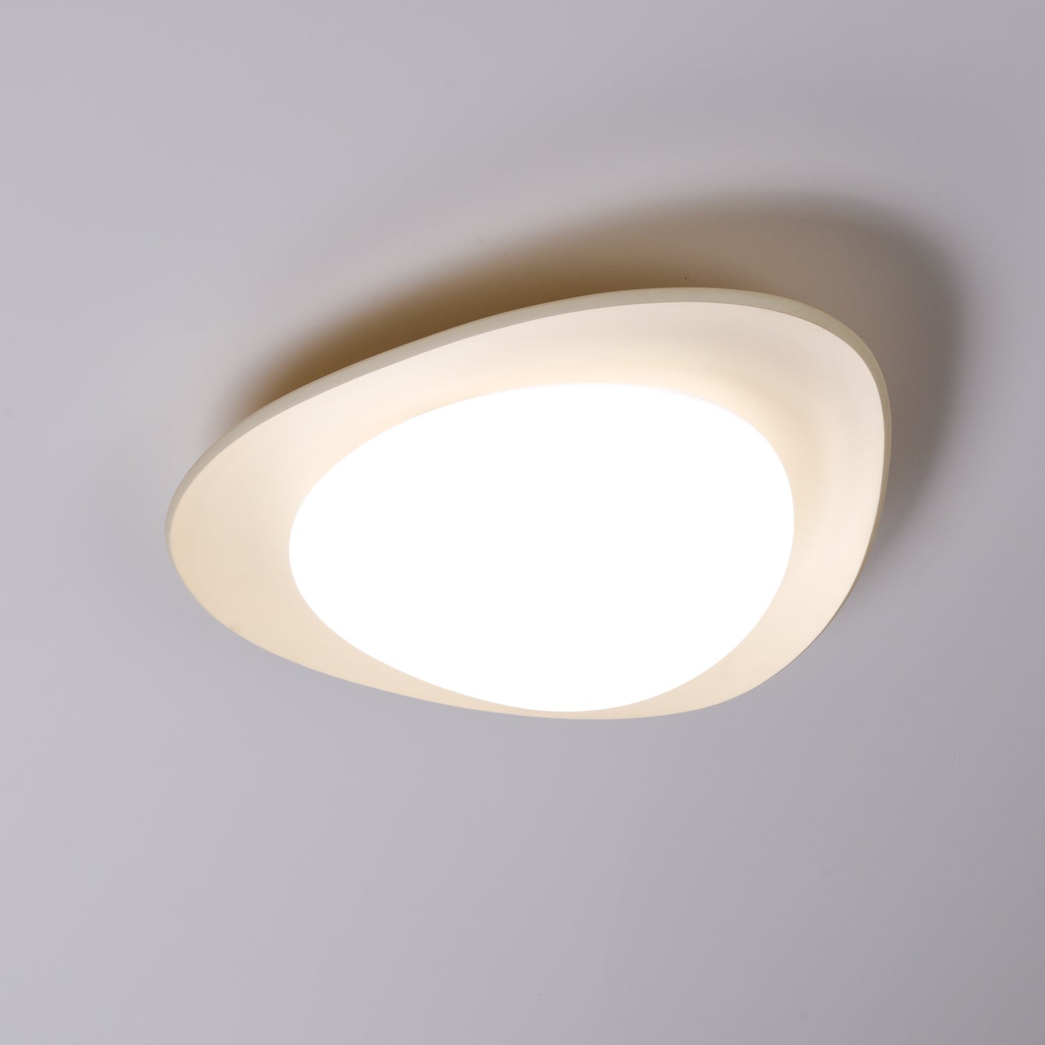 Leaf Ceiling Lamp