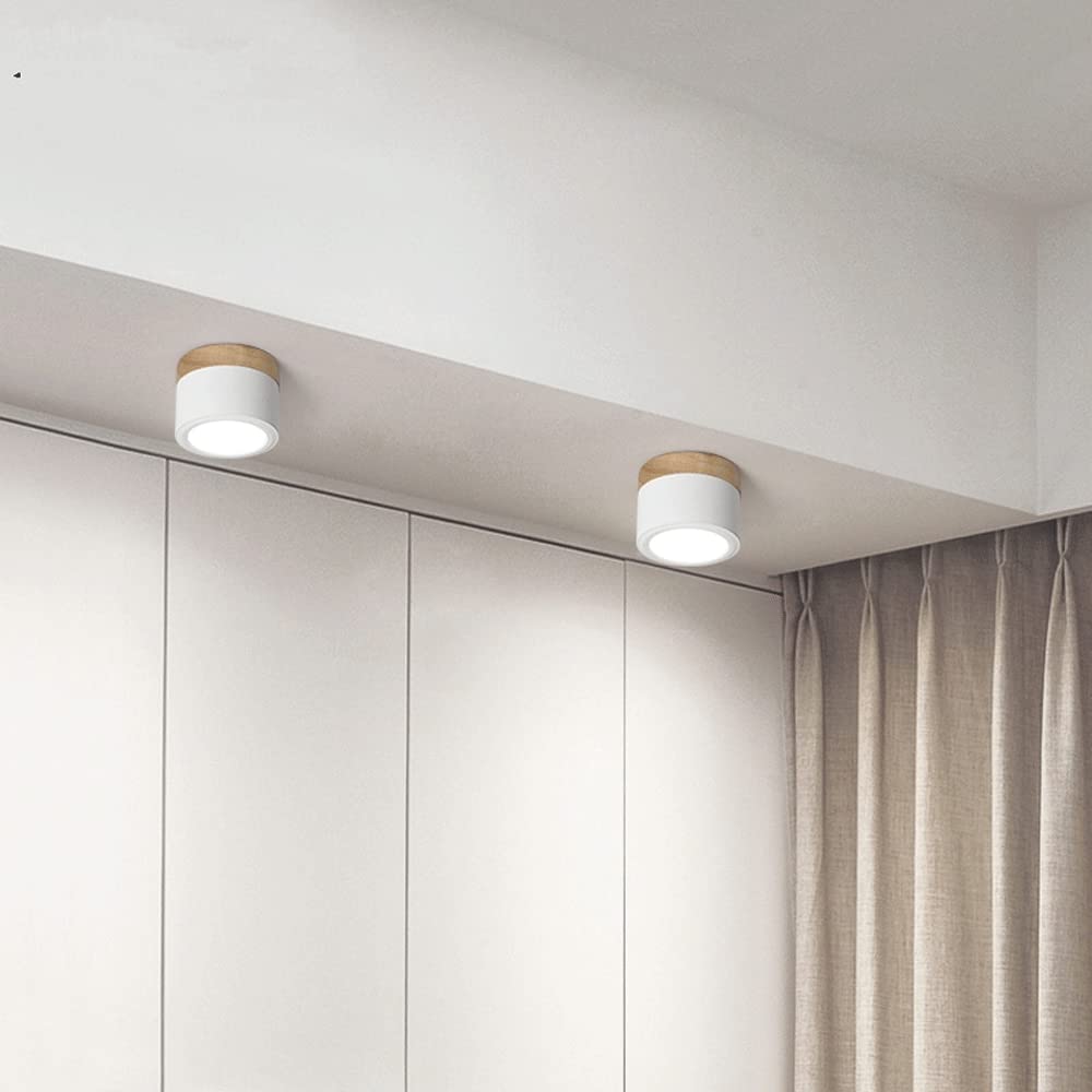 Small Cylinder Flush Mount Ceiling Light