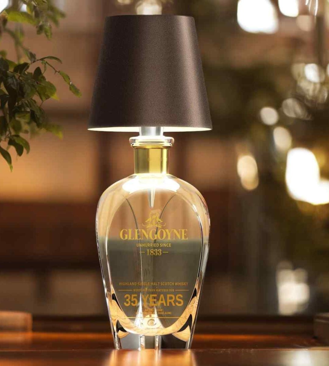 LED Bottle Lamp