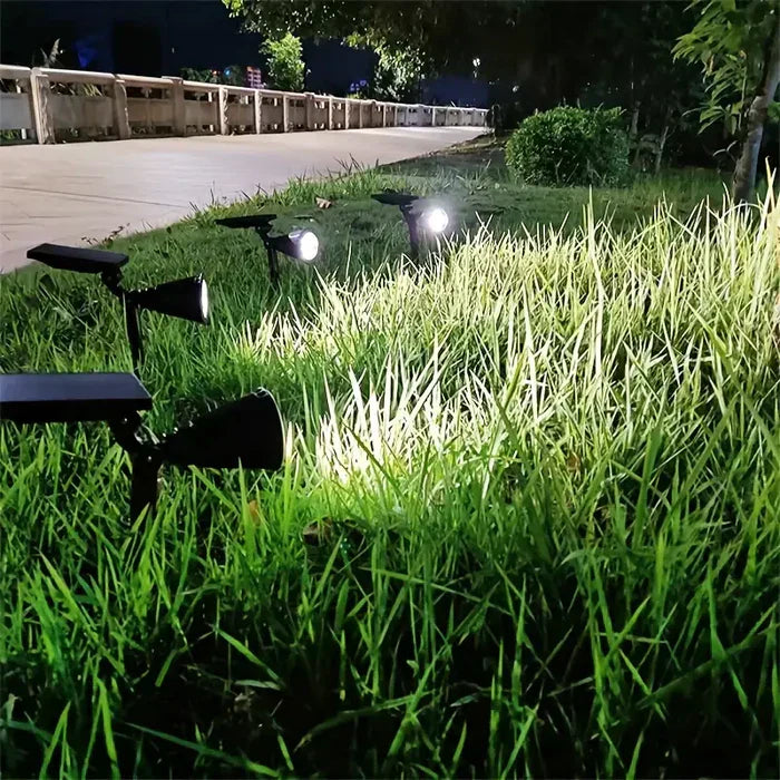 Adjustable and Weatherproof Solar Light