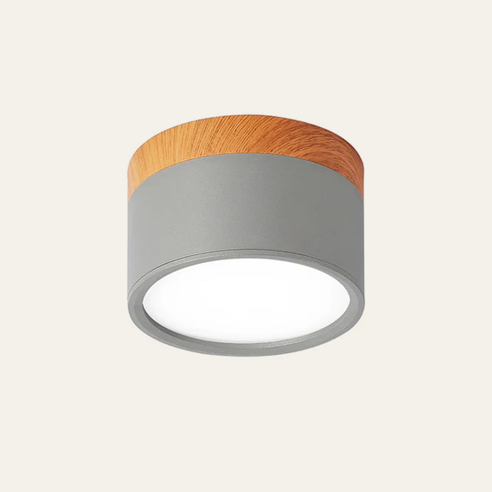 Small Cylinder Flush Mount Ceiling Light