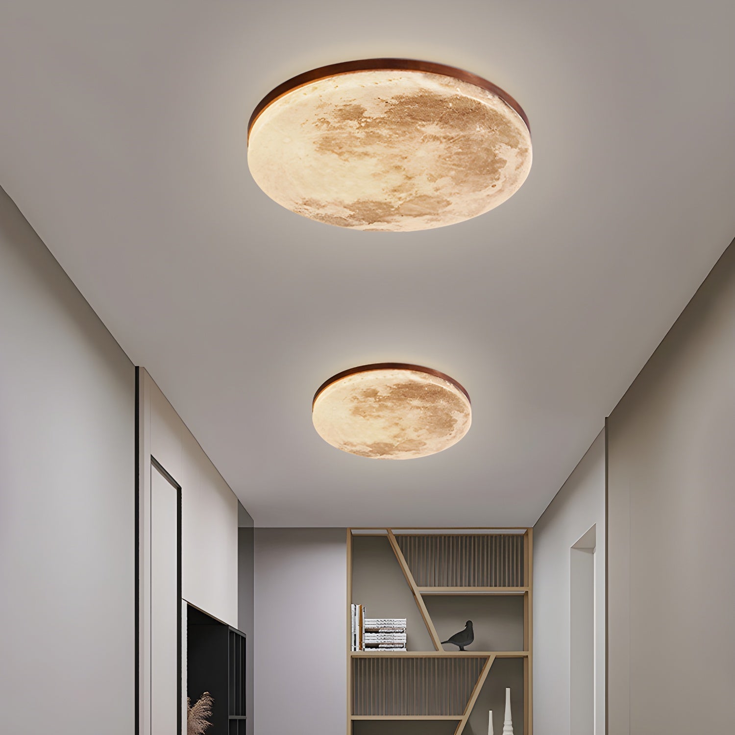 Moon Design Ceiling Lamp