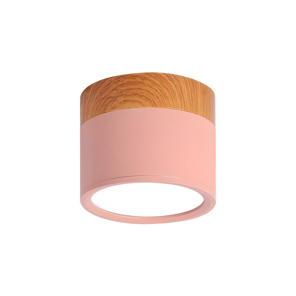 Small Cylinder Flush Mount Ceiling Light