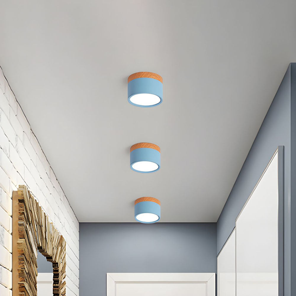 Small Cylinder Flush Mount Ceiling Light