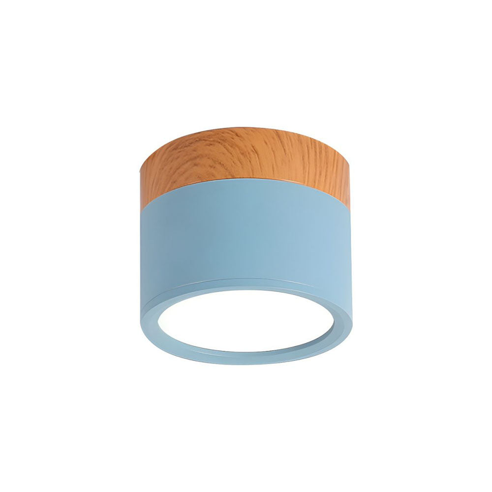 Small Cylinder Flush Mount Ceiling Light