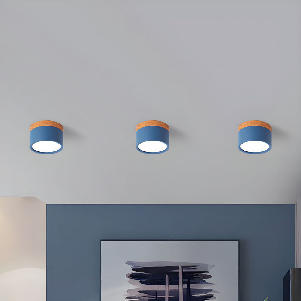 Small Cylinder Flush Mount Ceiling Light