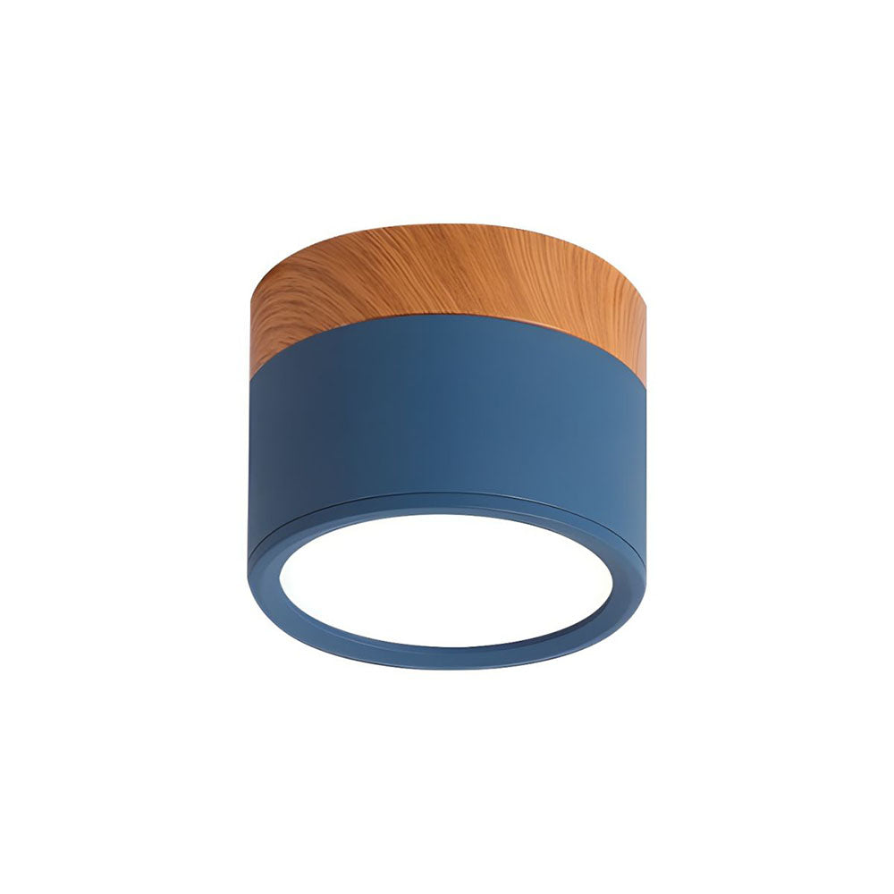 Small Cylinder Flush Mount Ceiling Light
