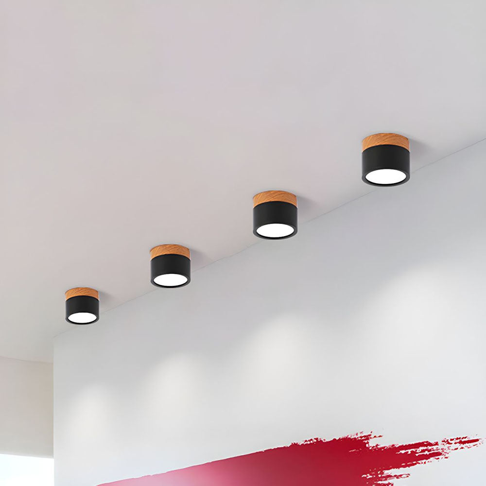 Small Cylinder Flush Mount Ceiling Light