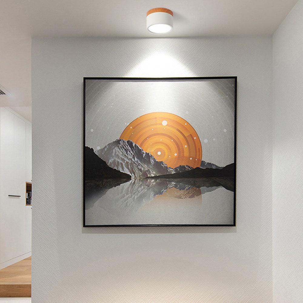 Small Cylinder Flush Mount Ceiling Light