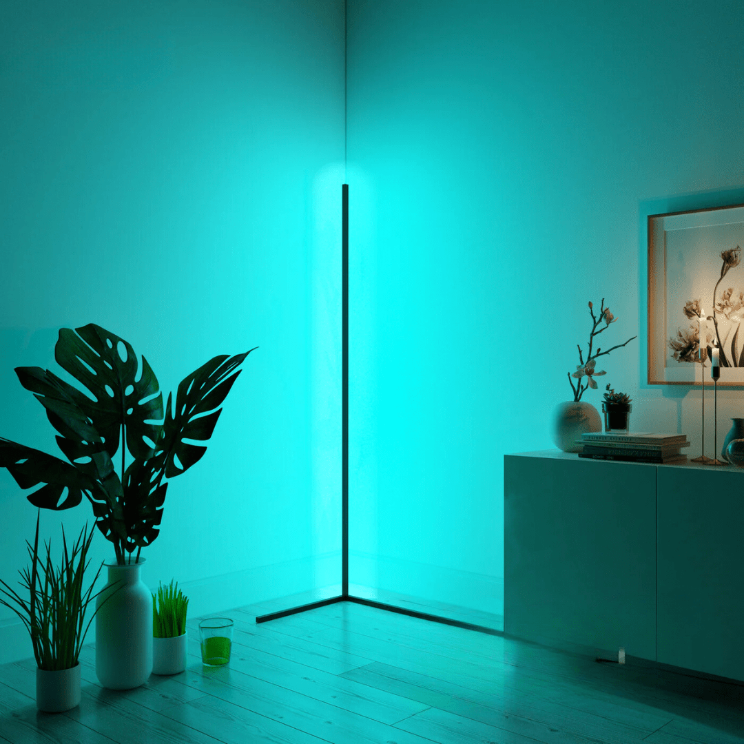 Dimmable LED Floor Lamp