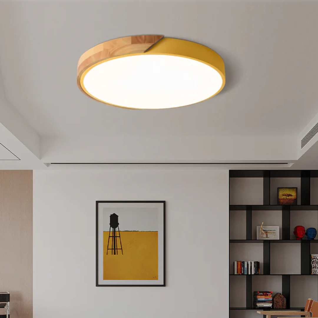 Modern Scandinavian Flush Mount Lamp
