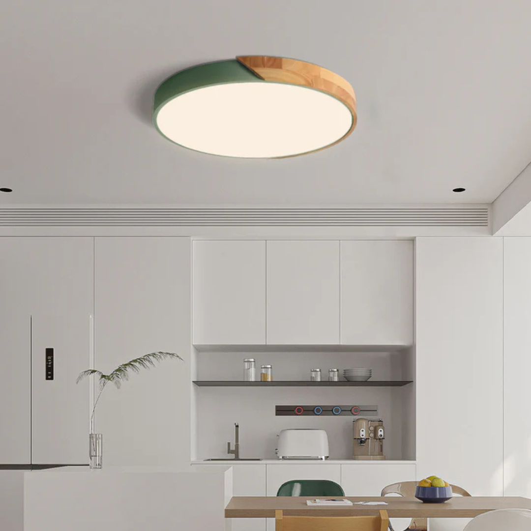 Modern Scandinavian Flush Mount Lamp