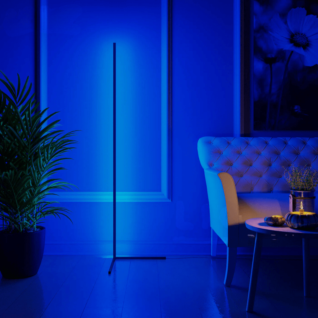 Dimmable LED Floor Lamp