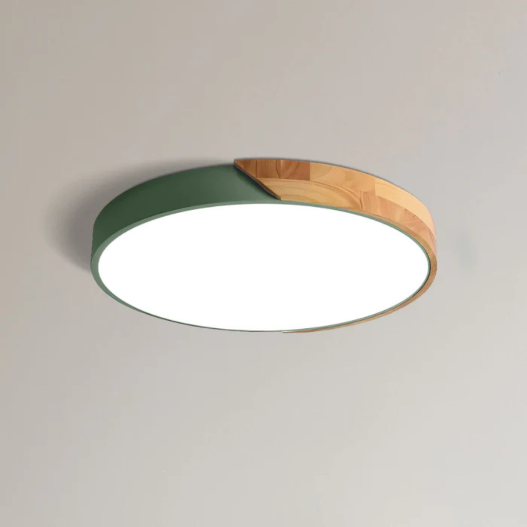 Modern Scandinavian Flush Mount Lamp