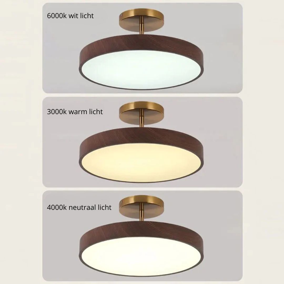 Low-Profile Circular Ceiling Light – 24W Integrated LED Luminaire
