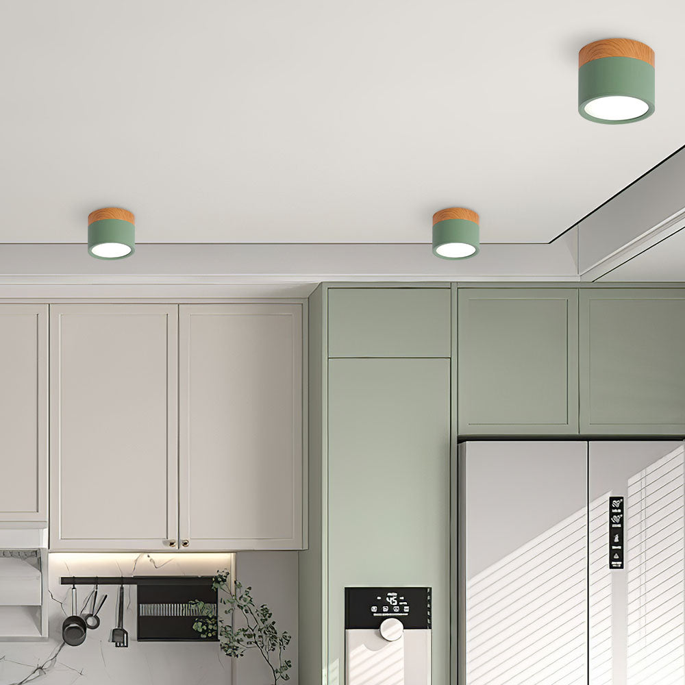 Small Cylinder Flush Mount Ceiling Light