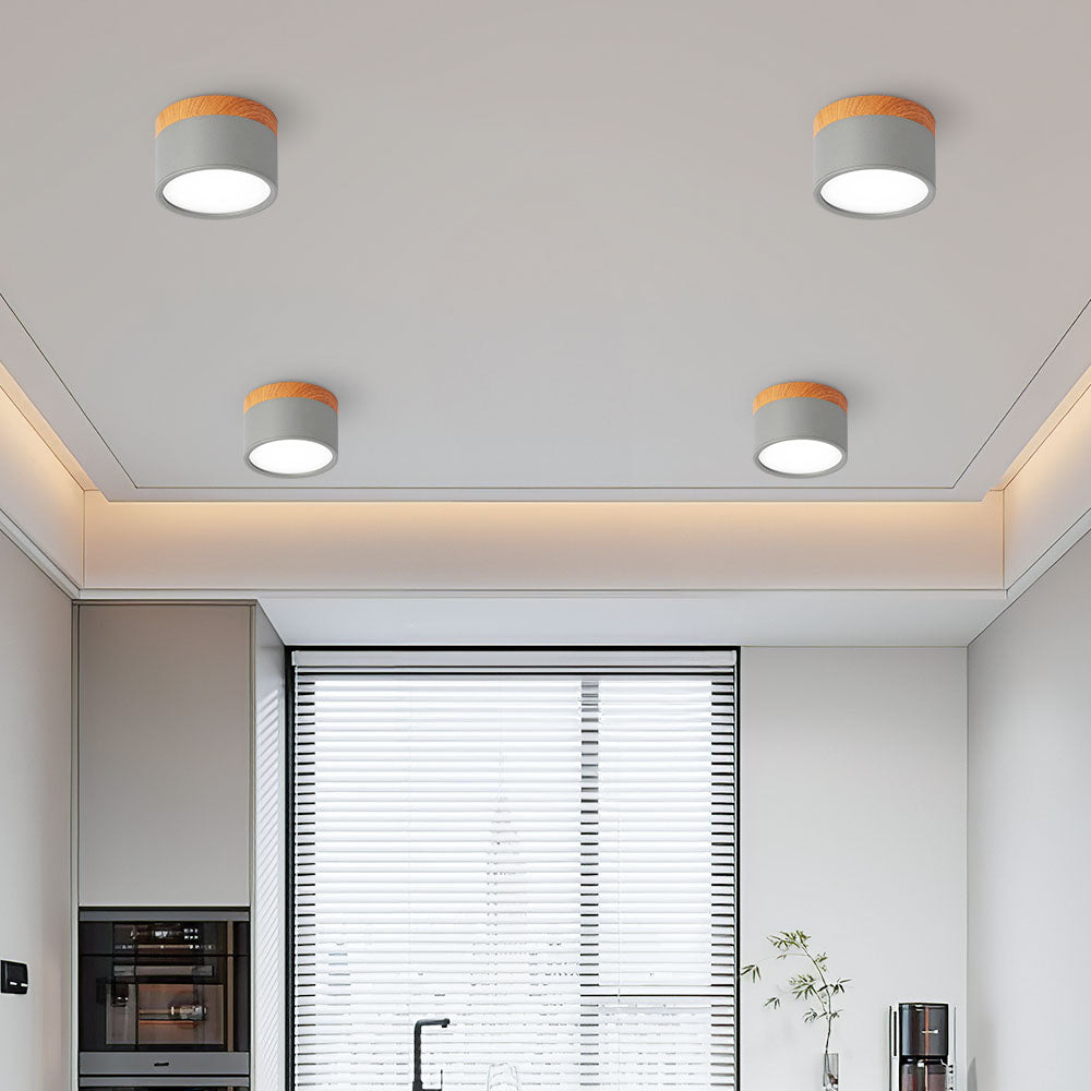 Small Cylinder Flush Mount Ceiling Light