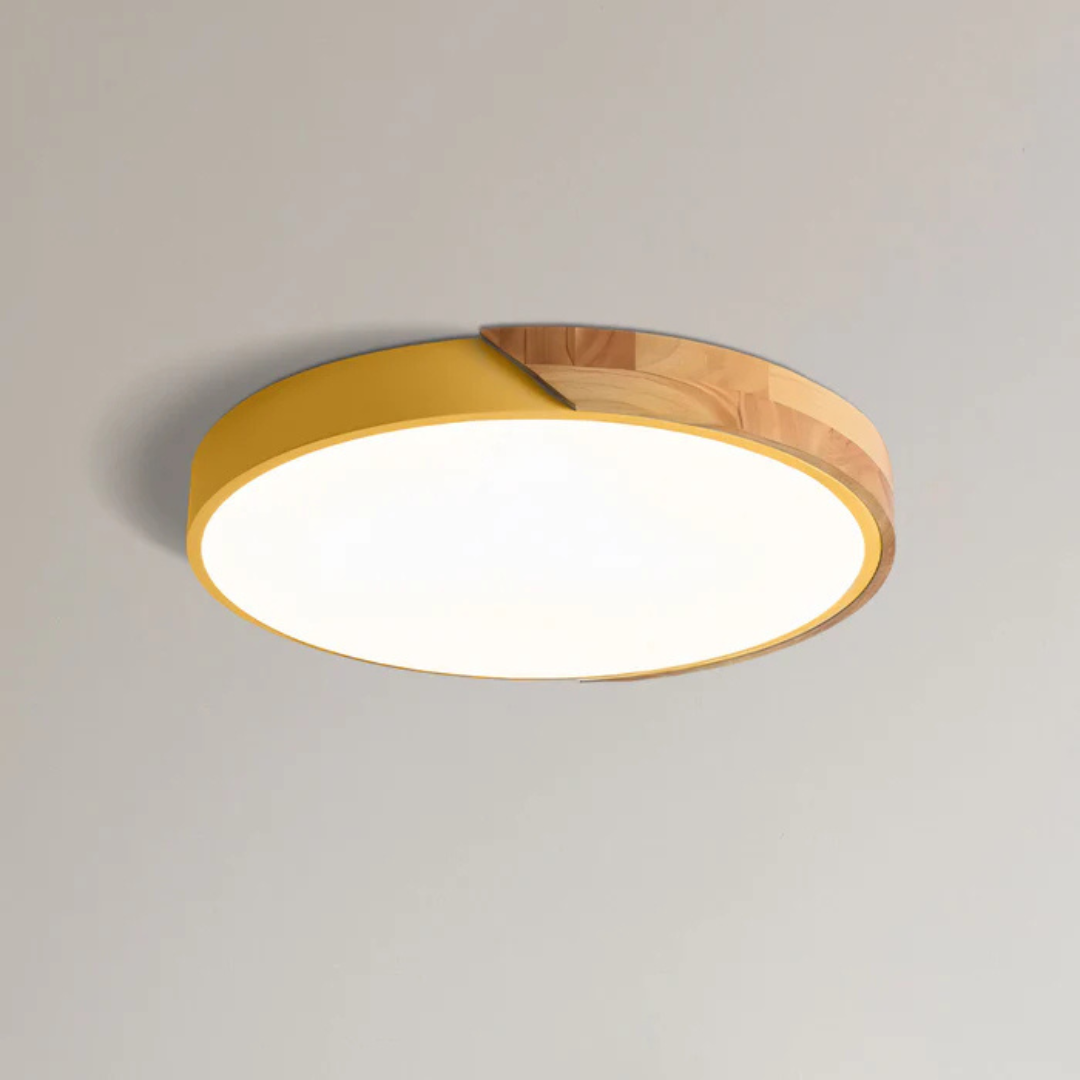 Modern Scandinavian Flush Mount Lamp