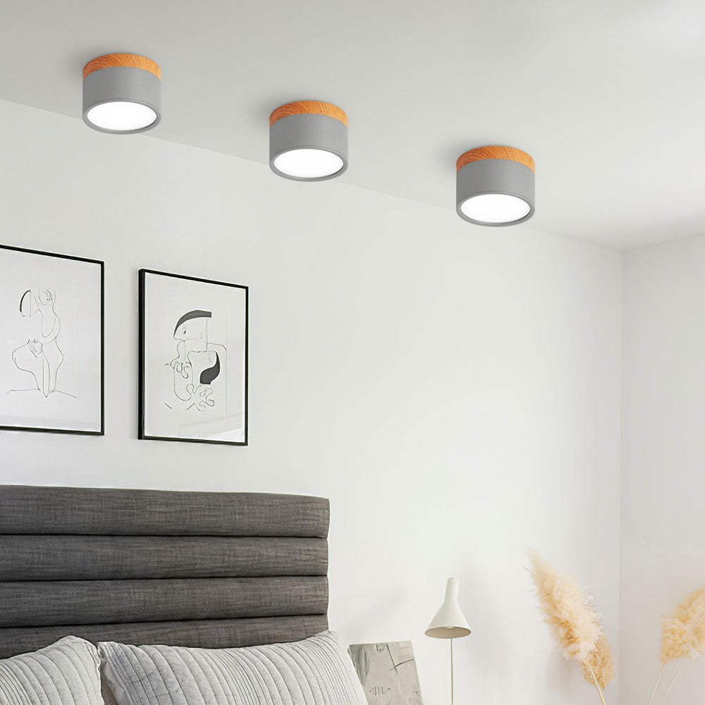 Small Cylinder Flush Mount Ceiling Light