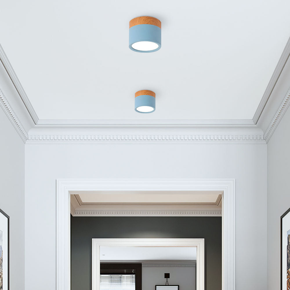 Small Cylinder Flush Mount Ceiling Light