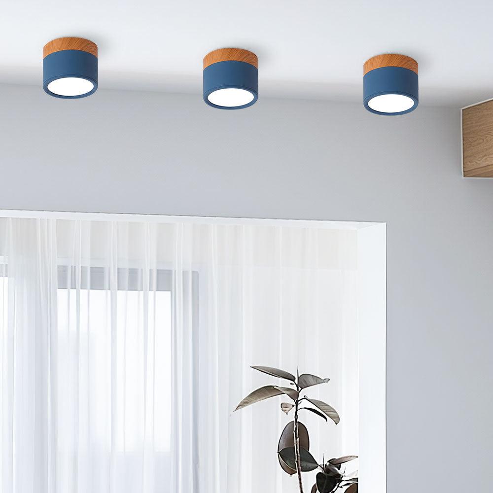 Small Cylinder Flush Mount Ceiling Light