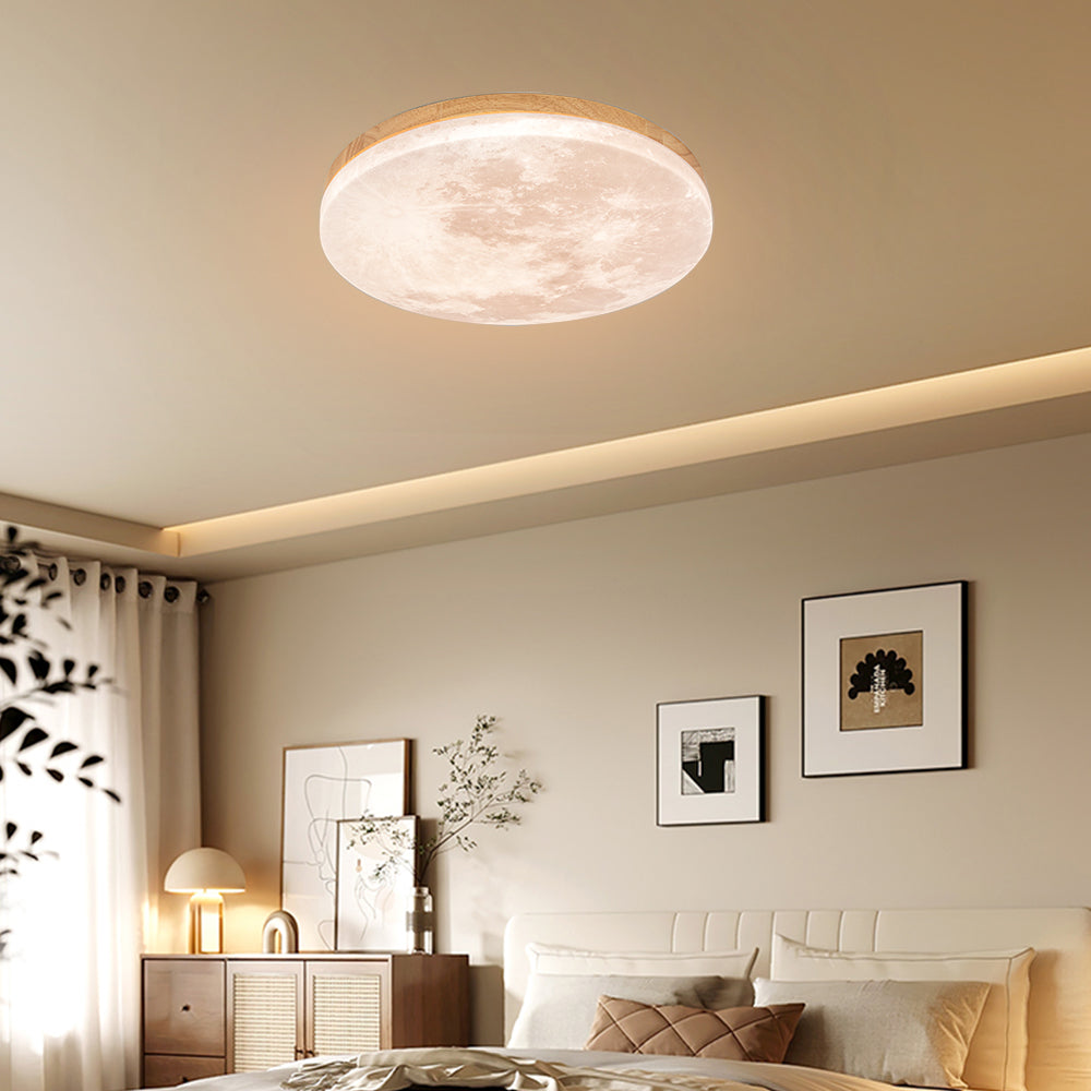 Moon Design Ceiling Lamp