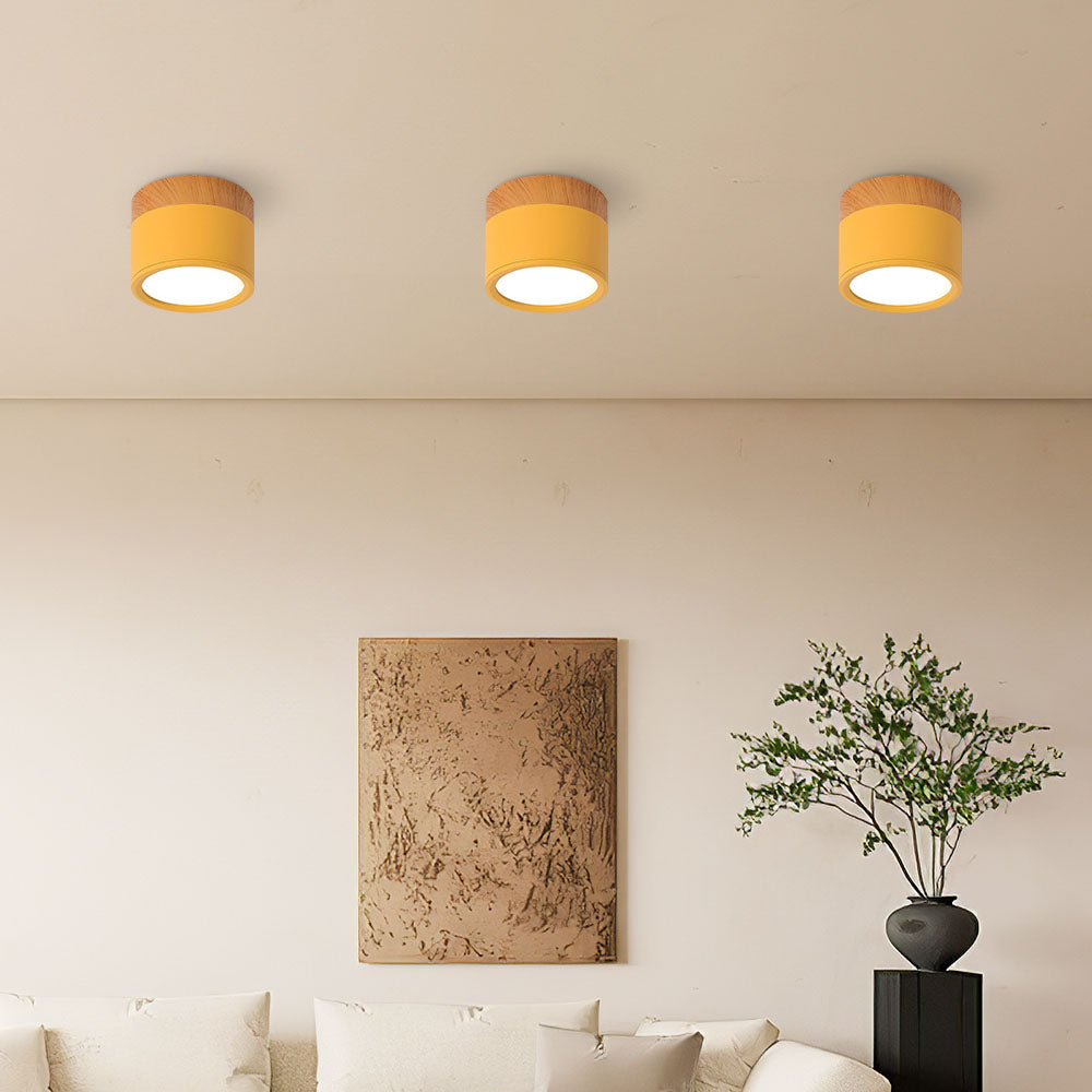Small Cylinder Flush Mount Ceiling Light