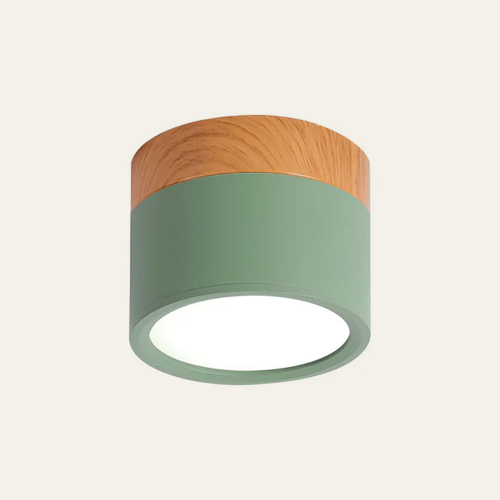 Small Cylinder Flush Mount Ceiling Light