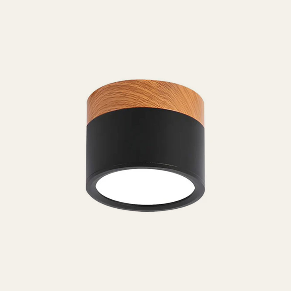 Small Cylinder Flush Mount Ceiling Light