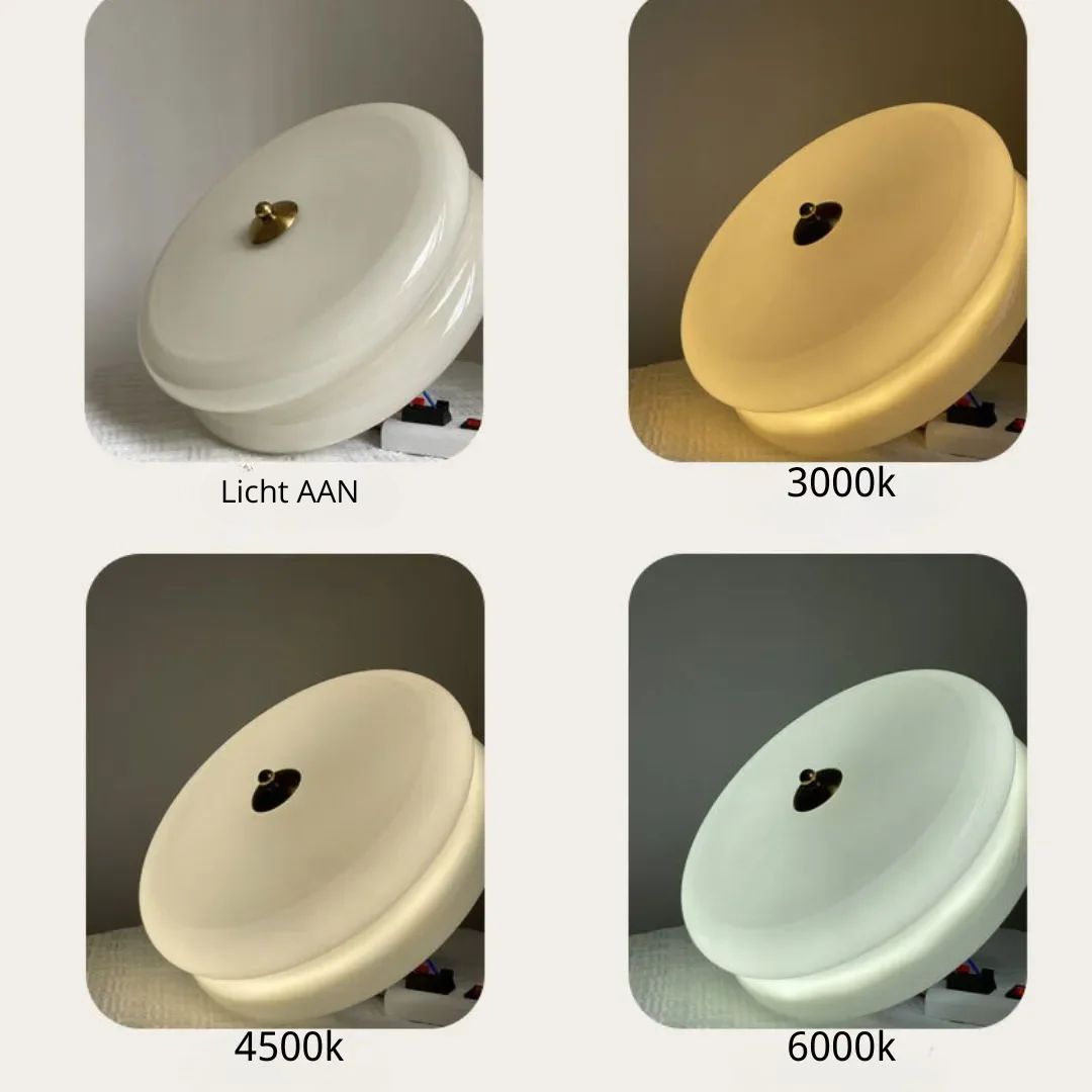 Circular Flush Mount Ceiling Light – Integrated LED
